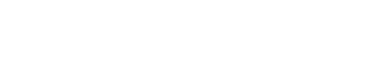 Blue Minimal Travel Business Logo